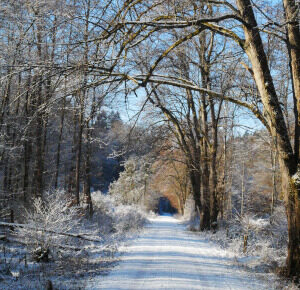 Winterweg im Schaichtal