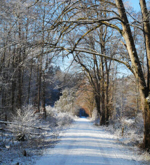 Winterweg im Schaichtal