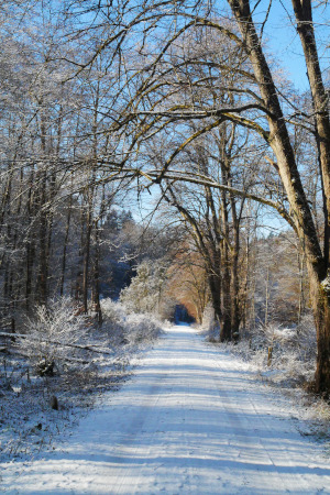 Winterweg im Schaichtal