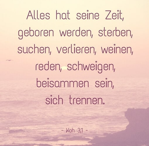 Alles hat seine Zeit