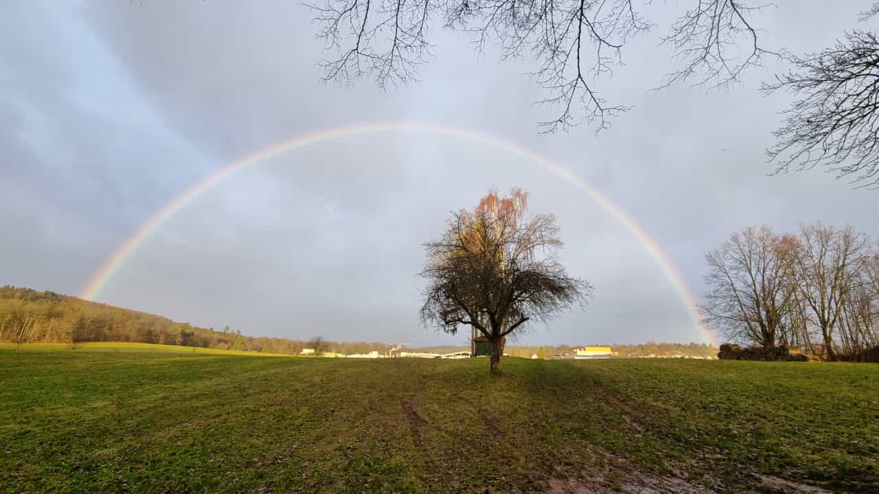 Der Bund im Regenbogen